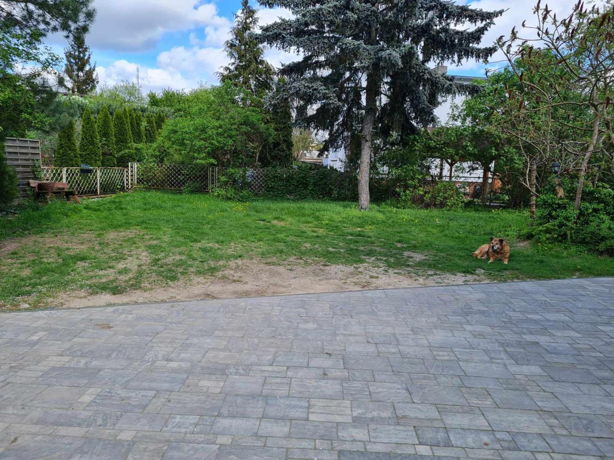 Willa 118 Ciechocinek Dış mekan fotoğraf